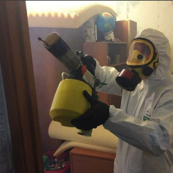 Уничтожение клопов в квартире. Токсово
